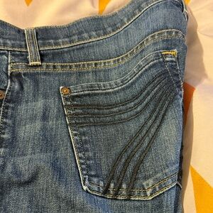 7 For All Mankind DOJOS